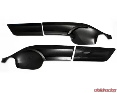 Status Gruppe 2x2 Carbon Fiber CSL Door Panel Inserts Custom Color Handles with Rear Speaker BMW 2000-2006 - SGTE46CSLDP2x2CCY