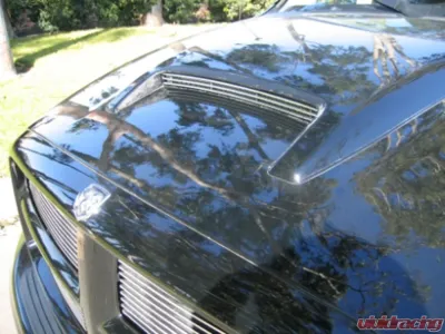 Ram Hood Scoop Grille Insert 02-05 Dodge Ram Aluminum Polished Billet Series T-REX Grilles - 20463