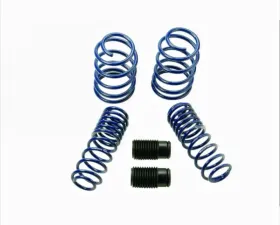 Ford Racing Lowering Kit Front and Rear
