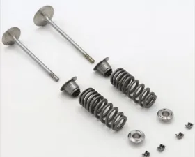 Ford Racing Valve Train Kit