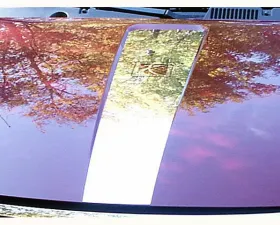 Quality Automotive Accessories 1-Piece Stainless Steel Hood Accent Trim Saturn Ion 4-Door Sedan 2005-2007