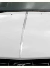 Quality Automotive Accessories 1-Piece Stainless Steel Hood Accent Trim Ford Mustang 2-Door Coupe Convertible 2005-2009                                     - HT45351 - Image 3