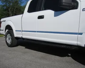 Quality Automotive Accessories 12-Piece Stainless Steel Body Molding Insert Trim Kit Ford F-150 4-Door Crew Cab 5.5' bed 2015-2020