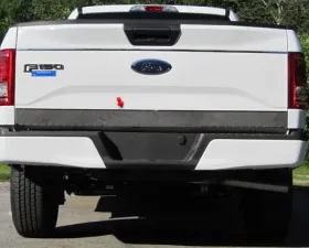 Quality Automotive Accessories 1-Piece Stainless Steel Tailgate Accent Trim Ford F-150 2-Door 4-Door 2015-2020