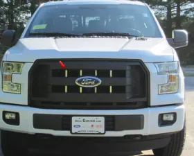 Quality Automotive Accessories 8-Piece Stainless Steel Front Grille Accent Trim Ford F-150 2-Door 4-Door 2015-2016