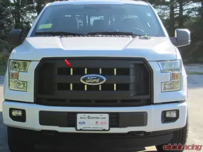 Quality Automotive Accessories 8-Piece Stainless Steel Front Grille Accent Trim Ford F-150 2-Door 4-Door 2015-2016 - SG55308