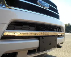 Quality Automotive Accessories 1-Piece Stainless Steel Front Grille Accent Trim Ford Expedition 4-Door SUV 2015-2017