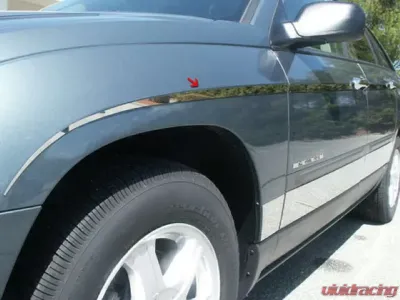 Quality Automotive Accessories 12-Piece Stainless Steel Rocker Panel Trim Insert Kit Chrysler Pacifica 4-Door SUV 2004-2008 - TH44752