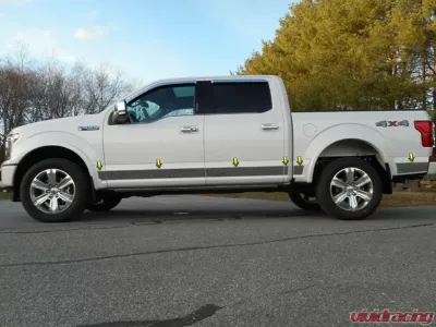 Quality Automotive Accessories 12-Piece Stainless Steel Rocker Panel Trim Upper Kit Ford F-150 4-Door Crew Cab 5.5 bed 2015-2020 - TH55317