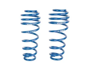 Roush Rear Coil Springs Ford Mustang 2005-2014