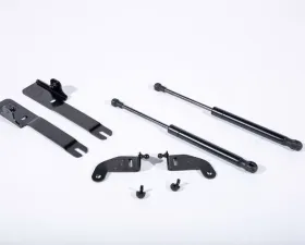 Roush Performance Hood Strut Ford Mustang V6 | Ecoboost | GT 2015-2023