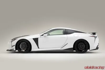 Varis Magnum Opus Carbon Fiber Canard Set for Lexus LC500 2017-2019 - VALE-010