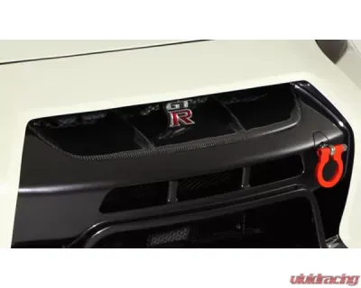 Varis Varis Grill Cover for Nissan GTR R35 2009-2016, Carbon Front Bumper Fitment - VANI-072