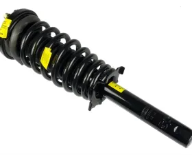 Moog Shocks and Struts ST8552L Honda Accord 1998-2002