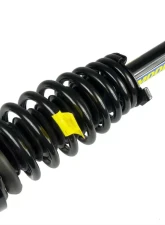 Moog Shocks and Struts ST8552R Honda Accord 1998-2002                                     - Moog-ST8552R - Image 2