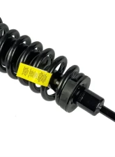 Moog Shocks and Struts ST8566 Ford|Lincoln 2003-2006                                     - Moog-ST8566 - Image 2