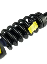 Moog Shocks and Struts ST8566 Ford|Lincoln 2003-2006                                     - Moog-ST8566 - Image 3