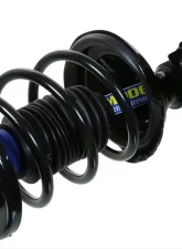Moog Shocks and Struts ST8578R Acura|Honda 2001-2005                                     - Moog-ST8578R - Image 2