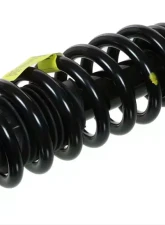 Moog Shocks and Struts ST8582 Ford|Lincoln 2004-2008                                     - Moog-ST8582 - Image 2