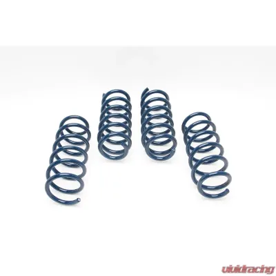 Dinan Performance Spring Set BMW 550i F10 11-15 - D100-0902