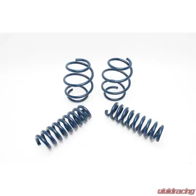 Dinan Performance Spring Set BMW 328i xDrive F30 13-15 - D100-0911