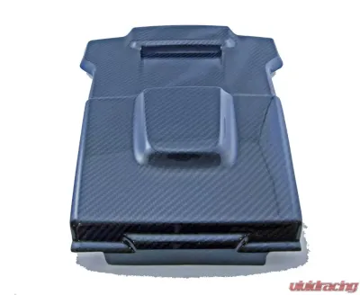 Exotic Car Gear Carbon Fiber V10/V8 Engine Intake Cover Audi R8 2013+ - ECG-AUD-R8ICA