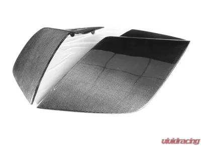 Exotic Car Gear Carbon Fiber 1-Pair OEM Side Panel Blades Audi R8 V8 - ECG-AUD-R8SP8
