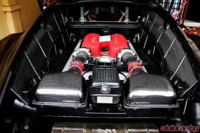 Exotic Car Gear Carbon Fiber Air Box w/ Fitting Kit Ferrari 360 - ECG-FER-360ABS