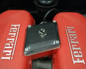 Exotic Car Gear Carbon Fiber Intake Compensation Panel w/ Cavallino Ferrari 360