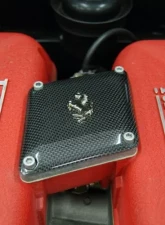 Exotic Car Gear Carbon Fiber Intake Compensation Panel w/ Cavallino Ferrari 360                                     - ECG-FER-360CPC - Image 2