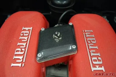 Exotic Car Gear Carbon Fiber Intake Compensation Panel w/ Cavallino Ferrari 360 - ECG-FER-360CPC