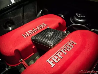 Exotic Car Gear Carbon Fiber Intake Compensation Panel w/ Cavallino Ferrari 360 - ECG-FER-360CPC