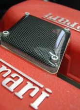 Exotic Car Gear Carbon Fiber Intake Compensation Panel Ferrari 360                                     - ECG-FER-360CP - Image 2