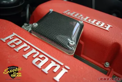 Exotic Car Gear Carbon Fiber Intake Compensation Panel Ferrari 360 - ECG-FER-360CP
