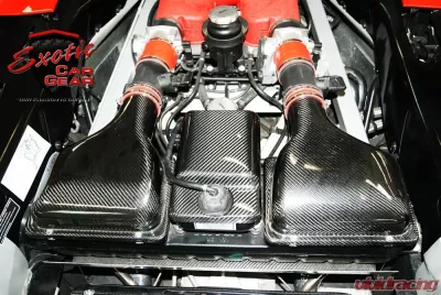 Exotic Car Gear Carbon Fiber Coolant Tank Cover Ferrari 360 - ECG-FER-360CTC