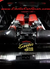Exotic Car Gear Carbon Fiber 3pc OEM Engine Bay Panels Ferrari 360 Modena Coupe                                     - ECG-FER-360EBPM - Image 4