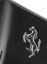 Exotic Car Gear Carbon Fiber Coolant Tank Cover w/ Cavallino Ferrari 360                                     - ECG-FER-360TCC - Image 4