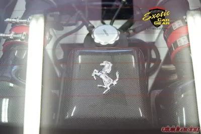 Exotic Car Gear Carbon Fiber Coolant Tank Cover w/ Cavallino Ferrari 360 - ECG-FER-360TCC