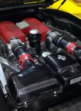 Exotic Car Gear Carbon Fiber Coolant Tank Cover w/ Cavallino Ferrari 360                                     - ECG-FER-360TCC - Image 6