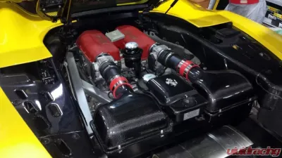 Exotic Car Gear Carbon Fiber Coolant Tank Cover w/ Cavallino Ferrari 360 - ECG-FER-360TCC