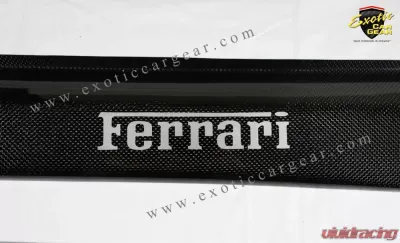 Exotic Car Gear Carbon Fiber 1-Pair OEM Door Sills w/ Embedded Silver Script Ferrari 360/F430 - ECG-FER-3F4DSS