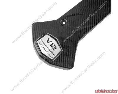 Exotic Car Gear Carbon Fiber Center Intake Panel Lamborghini Aventador LP700 - ECG-LAM-AVCEP