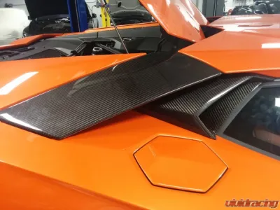 Exotic Car Gear Carbon Fiber 1-Pair Engine Air Intakes Lamborghini Aventador LP700 - ECG-LAM-AVEAV