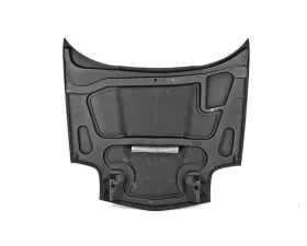 Anderson Composites Fiberglass Hood Type-TM Chevrolet Corvette C5 1997-2004