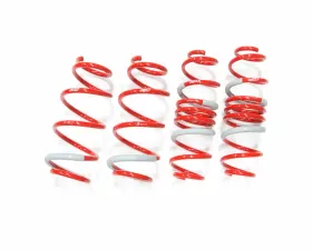 Tanabe Sustec DF210 Lowdown Coil Spring Toyota Prius C 2012-2013