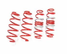 Tanabe Sustec NF210 Lowdown Coil Spring Toyota Prius C 2012-2013