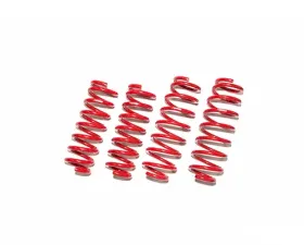 Tanabe NF210 Lowering Spring Infiniti M37 RWD | Q70L RWD 2011-2015
