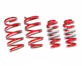 Tanabe NF210 Lowering Spring Lexus NX200t 2016+