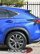 Tanabe NF210 Lowering Spring Lexus NX200t 2016+                                     - TNF196 - Image 3
