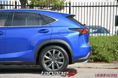 Tanabe NF210 Lowering Spring Lexus NX200t 2016+ - TNF196